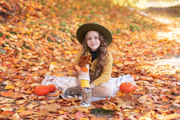 Young kid girl sit on plaid with pumpkins and golden leafs in hand. Happy little girl in hat and autumn clothes on an autumn background. A smiling child is playing in fall park.  - Photo, Image