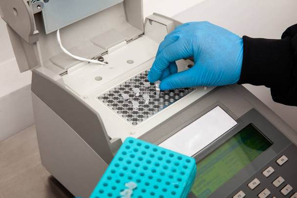 研究室でサーマルサイクルで作業中に科学者の手の閉鎖.ポリメラーゼ連鎖反応技術。PCR法 - 写真・画像