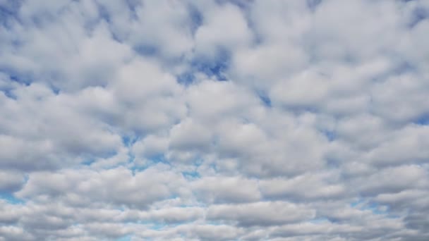 In de loop van de tijd zweven er pluizige wolken door de blauwe lucht. Wolkenlandschap in beweging. Tijdsverloop van cumuluswolken. - Video