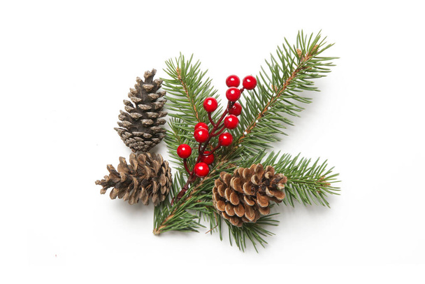 Christmas decoration element isolated on white. DIY festive, natural, zero waste, plastic free winter holidays decor made of fir branches, pine cones and red berries. - Photo, image