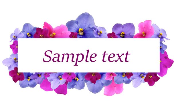 Beautiful saintpaulia flowers and card with space for your text isolated on white - Φωτογραφία, εικόνα