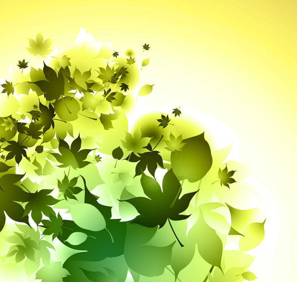 Leaves background - Vector, Image