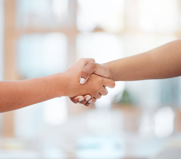 Handshake, support and b2b collaboration partnership success in team meeting and welcome employee to startup company. Shaking hands, thank you and contract deal after interview with business manager. - Foto, Imagem