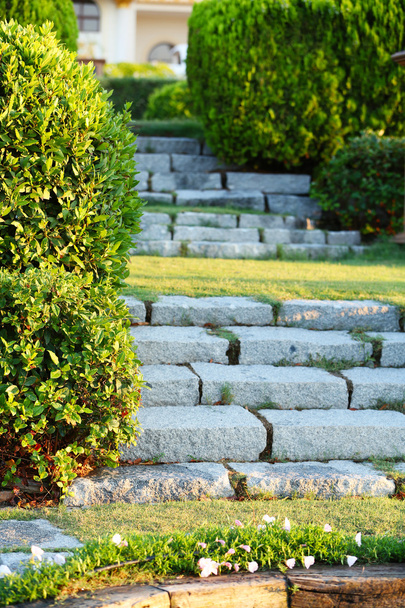 Stone steps in park - Photo, image
