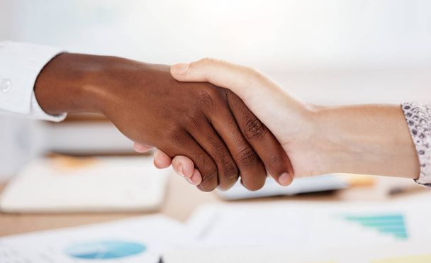 Welcome shaking hands, business meeting and consulting contract deal, agreement and partnership collaboration in office. Handshake for team promotion, hr opportunity and support in b2b sales success. - Fotoğraf, Görsel