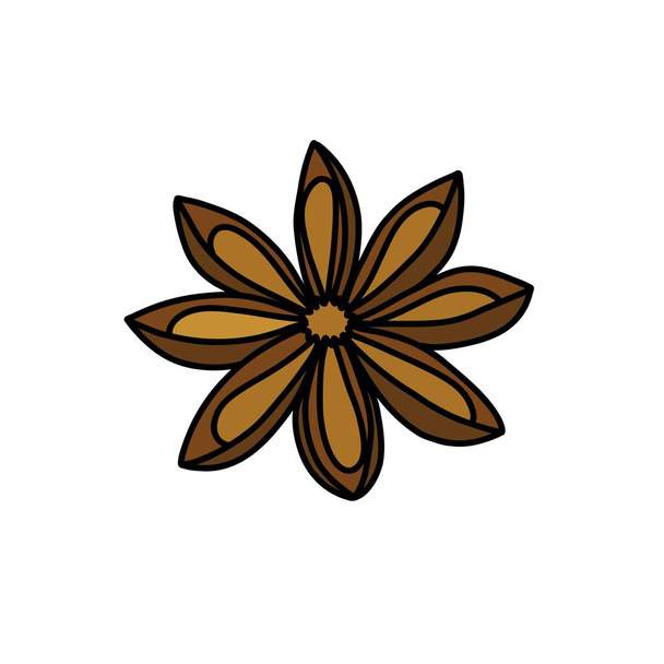 anise star doodle icon, vector illustration - Vector, Imagen