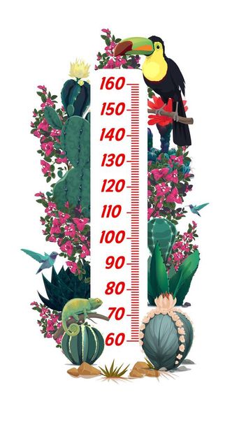 Παιδικό διάγραμμα ύψους με μεξικάνικο τουκάν, cactuses λουλούδια. Μετρητής ανάπτυξης παιδιών ή διάγραμμα μέτρησης ύψους, κυβερνήτης ανάπτυξης παιδιών με φυτά χλωρίδας και πανίδας του Μεξικού, σαύρες χαμαιλέοντα και κολιμπρί - Διάνυσμα, εικόνα
