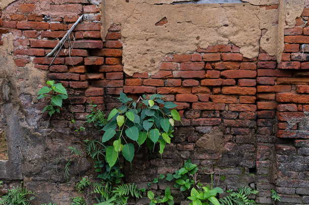 Howrah, Bengale occidental, Inde - 26 octobre 2020 : Anciennes briques et nouvelles usines d'Andul Rajbarhi, un palais ou rajbari près de Kolkata à Andul. devenu un site patrimonial d'Andul. - Photo, image