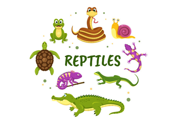 Набор шаблонов животных рептилий Ручной рисунок плоская иллюстрация с различными типами рептилий Концепция животных - Вектор,изображение