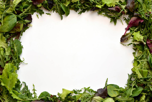 Hojas frescas de ensalada sobre fondo blanco
 - Foto, imagen