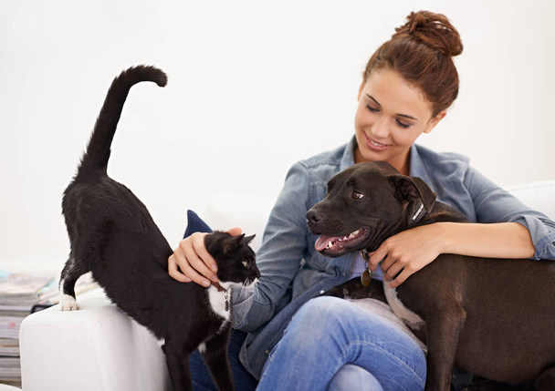 Devine qui gouverne le gîte dans cette maison. une belle jeune femme relaxante sur le canapé avec son chien et son chat - Photo, image