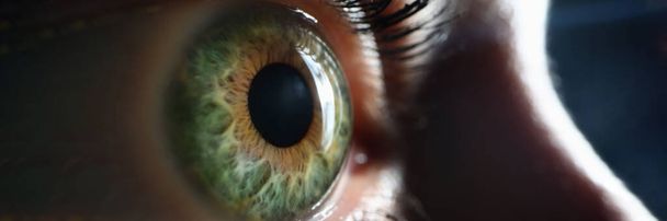 Θηλυκό ένα πράσινο γκρι μάτι από κοντά. Έννοια διόρθωσης όρασης με λέιζερ - Φωτογραφία, εικόνα