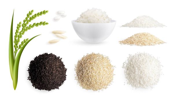 Ensemble réaliste de monticules de riz de différents types décorés avec une illustration vectorielle isolée de germe vert - Vecteur, image