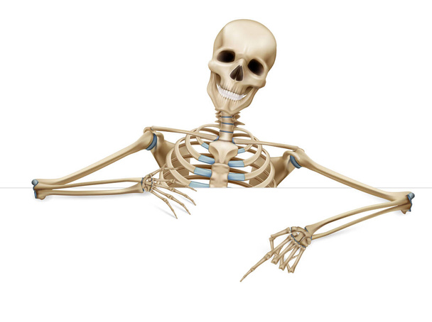 スケルトンジェスチャー手と頭蓋骨と半骨格フレームと現実的な組成空白の背景ベクトル図 - ベクター画像