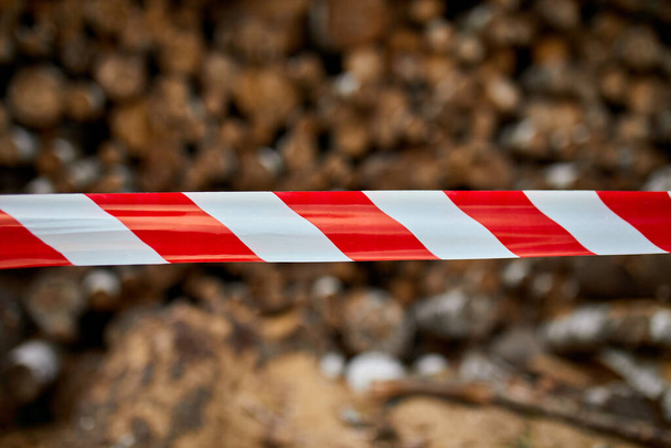 Ταινία προειδοποίησης κόκκινου και λευκού φράγματος, περιοχή πινακίδας για ασφάλεια, Ξηροί τεμαχισμένοι, πριονισμένοι ξύλινοι κορμοί - Φωτογραφία, εικόνα