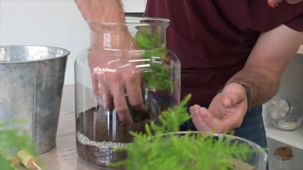 fabrication d'un terrarium avec des plantes - Séquence, vidéo