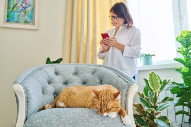 Relaxed sleeping ginger cat on armchair, woman using smartphone in defocus. Old red cat resting at home, together with owner in interior of room. Lifestyle, pets, animals, people, comfort home concept - Foto, Bild