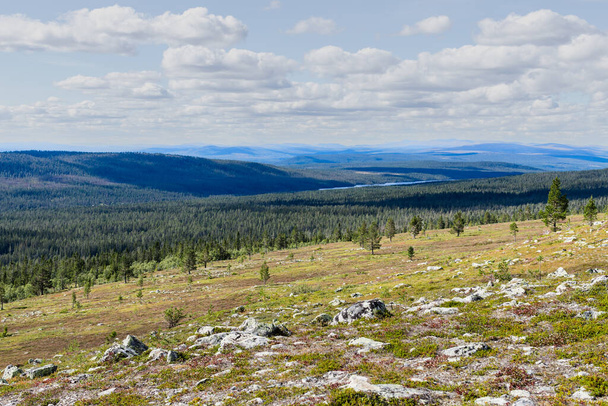 Stadjan, Sweden: Mountain summit in the Stadjan Nipfjallet nature reserve. High quality photo - Foto, afbeelding