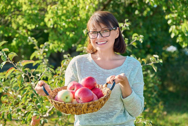 Smiling middle aged woman with harvest of ripe red apples in basket, outdoor garden. Mature happy female in orchard on sunny summer autumn day. Agriculture farming, natural eco fruits, healthy eating - Zdjęcie, obraz