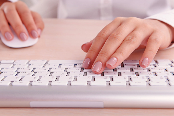 Female hands typing on keyboard on light background - 写真・画像
