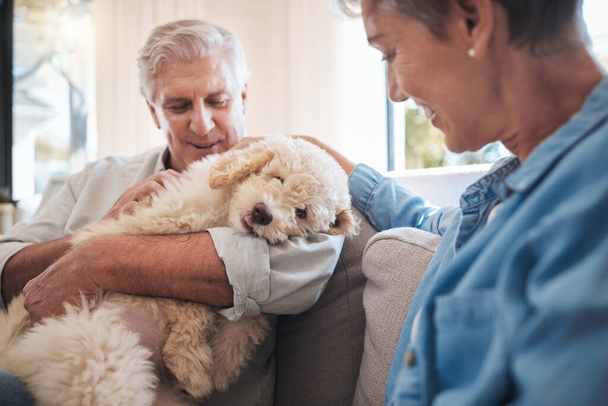 Pensioen, hond en senior koppel liefde, knuffel en zorg voor puppy op de bank in een huis voor geestelijke gezondheid en welzijn. Ouderen pensioen mensen op de bank samen met geadopteerde dier huisdier vriend voor loyaliteit. - Foto, afbeelding