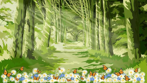 Tavaszi erdő fa napsugarak alá egy sűrű dzsungelben, Vektor Rajzfilm Ködös erdő táj természet napfény ragyog reggel zöld erdő lombozat, pillangó repül a százszorszép virág - Vektor, kép