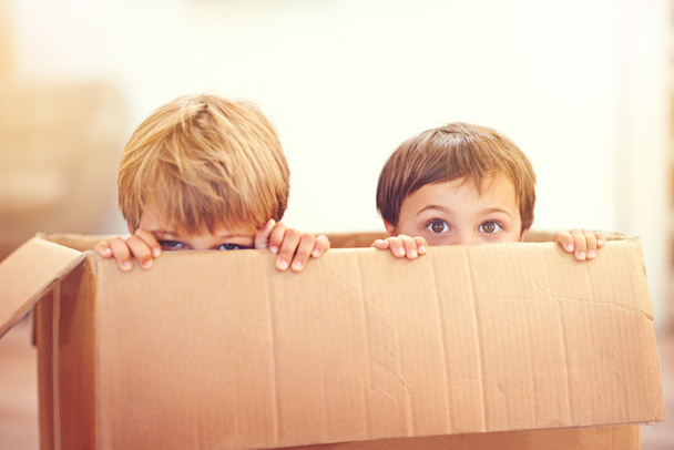 You wont even see us coming. Two adorable young boys peeking out of a cardboard box - Zdjęcie, obraz