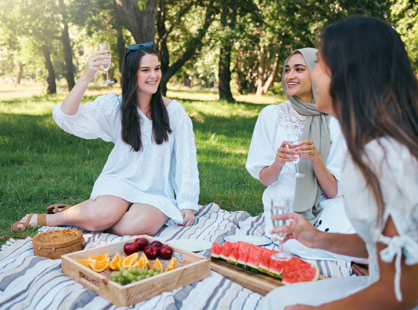 夏には屋外の公園でピクニック、シャンパン、女性のトースト、週末には食べ物、飲み物、そして自然の中で幸せな友人のグループ。多様性、友情と草の上のパーティー、夏の時間にリラックス. - 写真・画像