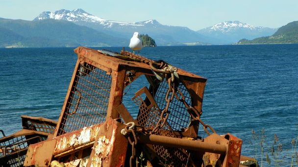 Noruega, Más og Condado de Romsdal, ferry que cruza de Solsnes a Afarnes, gaviota y chatarra - Foto, imagen