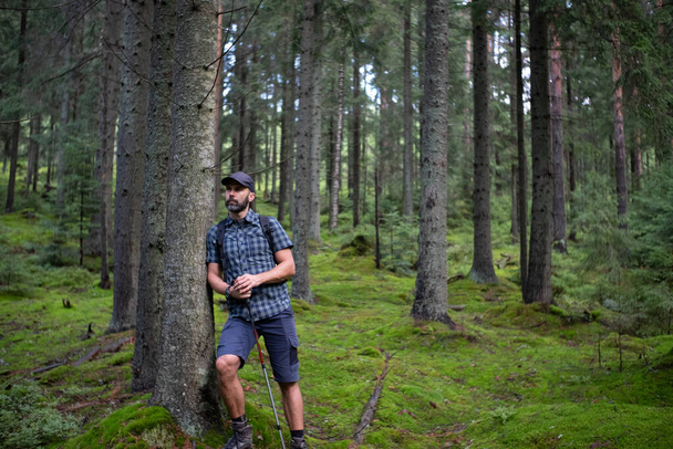 Hiker beard man in a green mountain forest. Dressed up in a cap, shorts, and plaid shirt with a backpack and trekking sticks - Zdjęcie, obraz