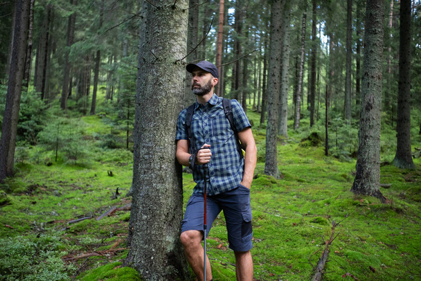 Caminante barba hombre en un bosque de montaña verde. Vestido con gorra, pantalones cortos y camisa a cuadros con mochila y bastones de trekking - Foto, imagen