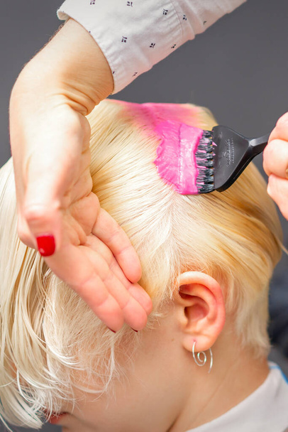 Applying pink dye with the brush on the white hair of a young blonde woman in a hairdresser salon - Photo, Image