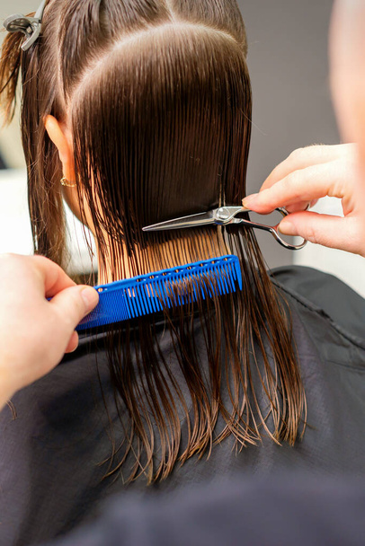 Corte de pelo de pelo largo y húmedo de mujer caucásica joven por un peluquero masculino en un salón de peluquería, vista trasera - Foto, Imagen