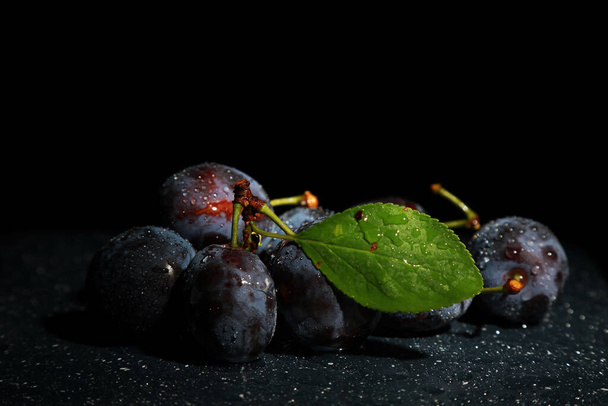 plums on a branch on a black background - Fotó, kép