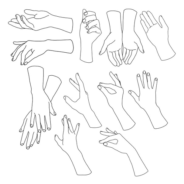 Vector linear set of black hands poses. Hand painted abstract fingers shapes isolated on white background. Minimalistic linear illustration for design, print, fabric or background - Vector, Image