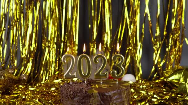  Rabbit is playing with gold tinsel. The celebration of 2023 New Year.  - Materiał filmowy, wideo