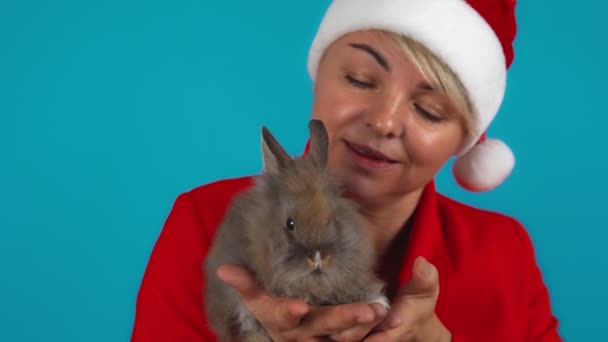 The New Year celebration. Woman in Claus red hat with cute gray bunny. Adult blonde woman is holding grey rabbit in arms. - Footage, Video