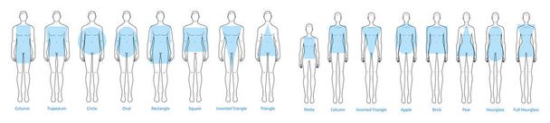 Set of Women Men body shapes types silhouettes: apple, pear, rectangle, column, trapezium, circle, oval, square, brick, hourglass, round, inverted triangle, petite. Male and Female Vector illustration - Vector, Image