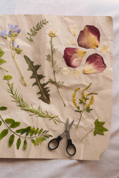 Sheet of paper with dried flowers and leaves on white fabric, top view - Φωτογραφία, εικόνα