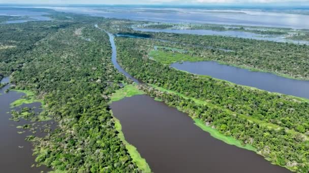 Amazon River at Amazon Rainforest. The biggest tropical rainforest of world. Manaus Brazil. Amazonia ecosystem. Nature wild life landscape. Global warming emissions reduction. Amazon river wild life. - Footage, Video