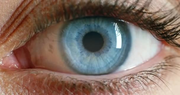 Nainen kasvot, siniset silmät ja näön painopiste, silmämuna ja piilolinssit nähdä, näkö ja tietoisuutta. Lähikuva muotokuva kasvot makro kosmetiikka ripset, optometria testi ja hereillä käsitys ihmisen anatomia. - Materiaali, video