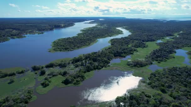 Amazon River at Amazon Forest. The famous tropical forest of world. Manaus Brazil. Amazonian ecosystem. Nature wild life landscape. Solimoes Amazon river biome. Amazon lifestyle. - Footage, Video