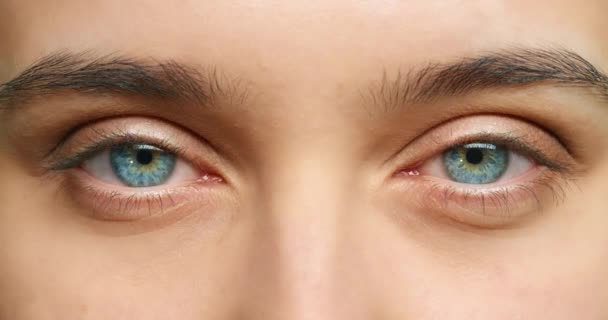 Yeux bleus, la vue et la vision de la femme de beauté avec des pupilles dilatées de test d'optométrie, médicament ou médicament pour le bien-être et les soins de santé. Portrait et macro ou zoom d'un sentiment humain éveillé et conscient. - Séquence, vidéo