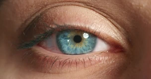 Clignotement, vision et œil bleu de la femme pour la vue, la santé ou l'optométrie en macro ou en gros plan. Iris, rétine et foyer avec globe oculaire de la femme pour les gènes, la vue et la conscience de la couleur de la lumière ou la perception. - Séquence, vidéo