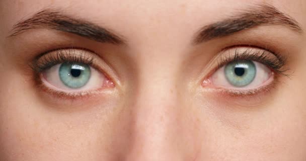 Frauenaugen, Gesichtserkennung und biometrisches Sehbildnis. Zoom auf natürliches Wimpernschminken, siehe visuelle Anatomie der jungen Hornhaut. Menschenmädchen öffnen Netzhaut und blaue Iris Nahaufnahme. - Filmmaterial, Video