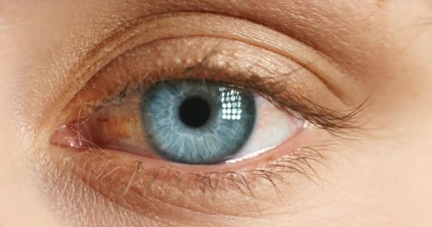 Εστίαση, βλεφάρισμα και όραση με μπλε μάτι από κοντά της γυναίκας για την όραση, την ίριδα ή τον αμφιβληστροειδή ευαισθητοποίηση και την υγεία. Οπτομετρία, κερατοειδής και οπτική με μεγέθυνση στο βολβό του ματιού για όραση και φυσική ευεξία. - Πλάνα, βίντεο