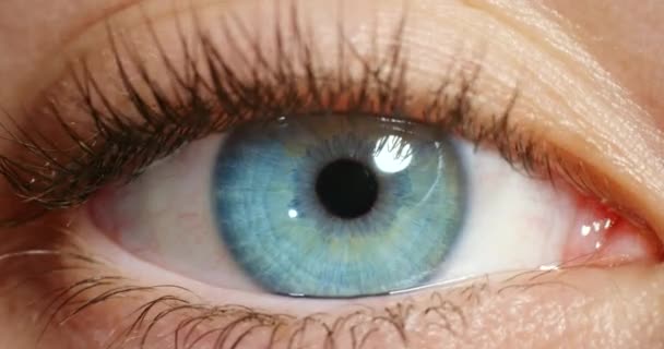 Visie, blauw oog en macro van wakker persoon op zoek naar mooie en natuurlijke schoonheid iris kleur. Sluiten van gezonde, geïsoleerde en verbluffende ogen van een persoon met bewegende pupil bij een optometrietest - Video