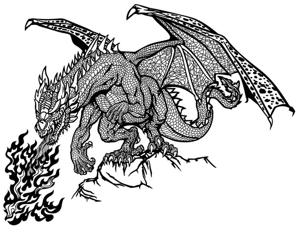 Nyugati Sárkány. Klasszikus európai mitológiai teremtmény denevér típusú szárnyakkal a sziklán állva és tüzet okádva. Grafikus stílus izolált vektor illusztráció. Fekete-fehér - Vektor, kép
