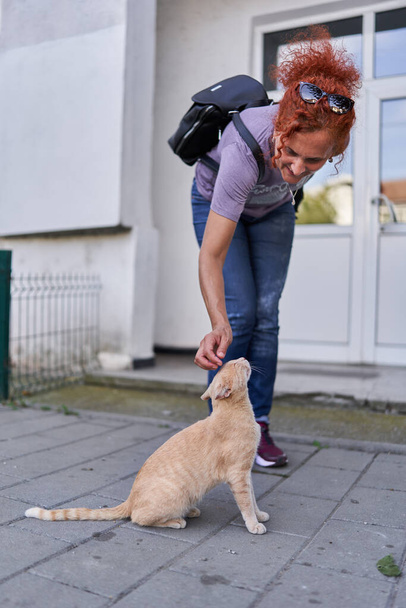 Woman petting a stray orange cat on the sidewalk - Foto, Imagen