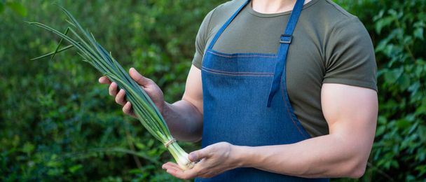 cropped view of man greengrocer with green onion vegetable. - Foto, Bild